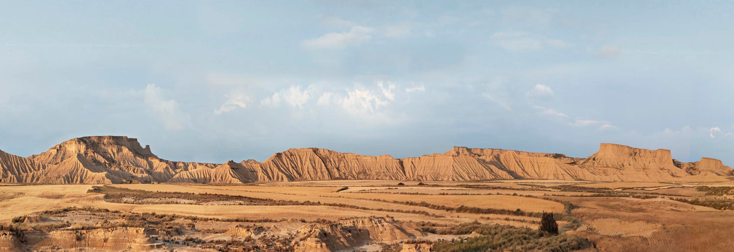 Las Bardenas Reales de Navarra. Bardenas Market